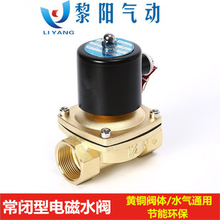 2W025-08/10/15/20/25/35/40/50 220V 24V 12V���P� ���_ ˮ�y