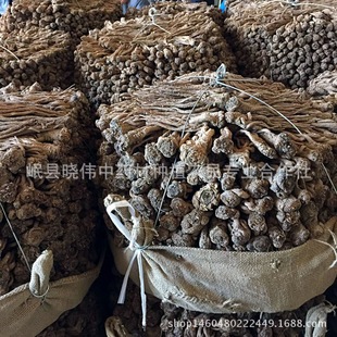 �Ԃ�֮Դếh���w�l��ș�Įa��ֱ���o��Ǯ��wƬ�S�����l�o��ӹ�