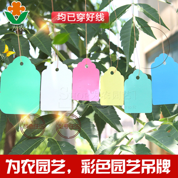 Gardening signs listing cable tie listing plastic hang tag PVC…