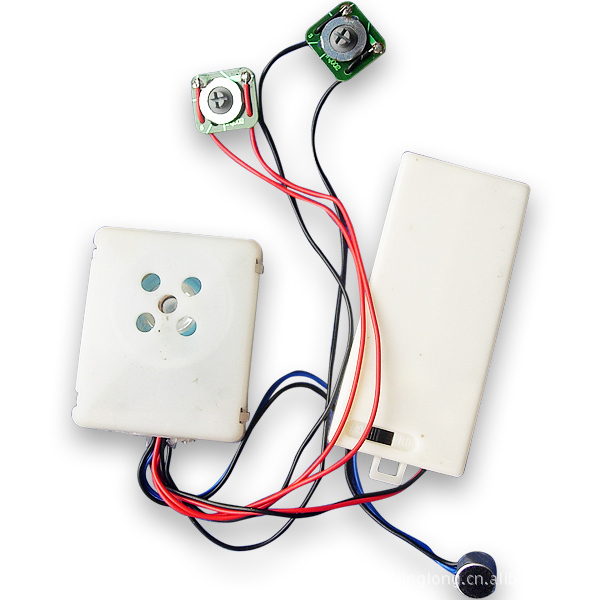 厂家直销毛绒玩具录音IC录音音乐IC芯片录音音乐机芯语音IC闪光灯