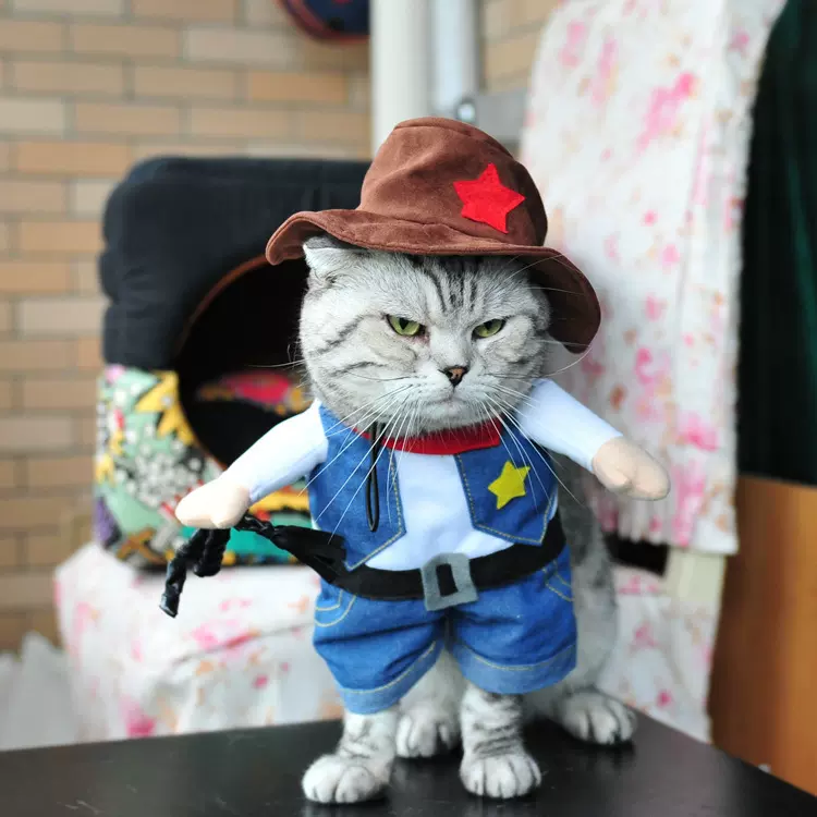 圣诞节宠物衣服创意猫狗衣服跨境专供搞笑派对小猫衣服狗狗圣诞装