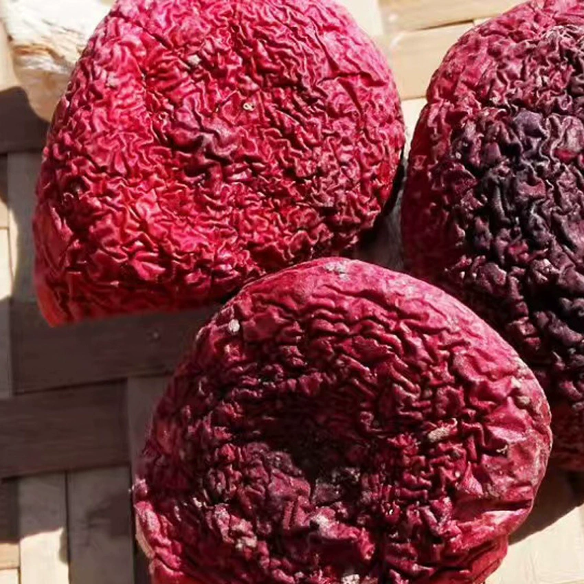 Аутентичные дикие сыроежки 250 г Фуцзянь синий фон красный гриб красный гриб