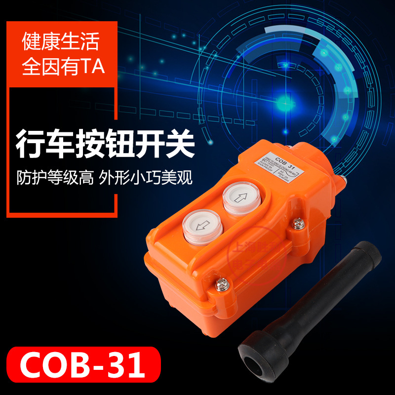 COB-31行车按钮开关 防水两位起重控制盒电葫芦TNHA1-31 COB31