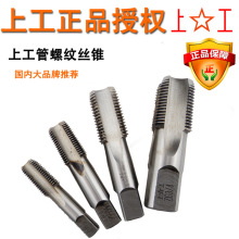 �Ϲ�55&deg;�A�����ݼy�z�F ˮ���ýz�� ���� G1/8 1/4 1/2 3/4 7/8