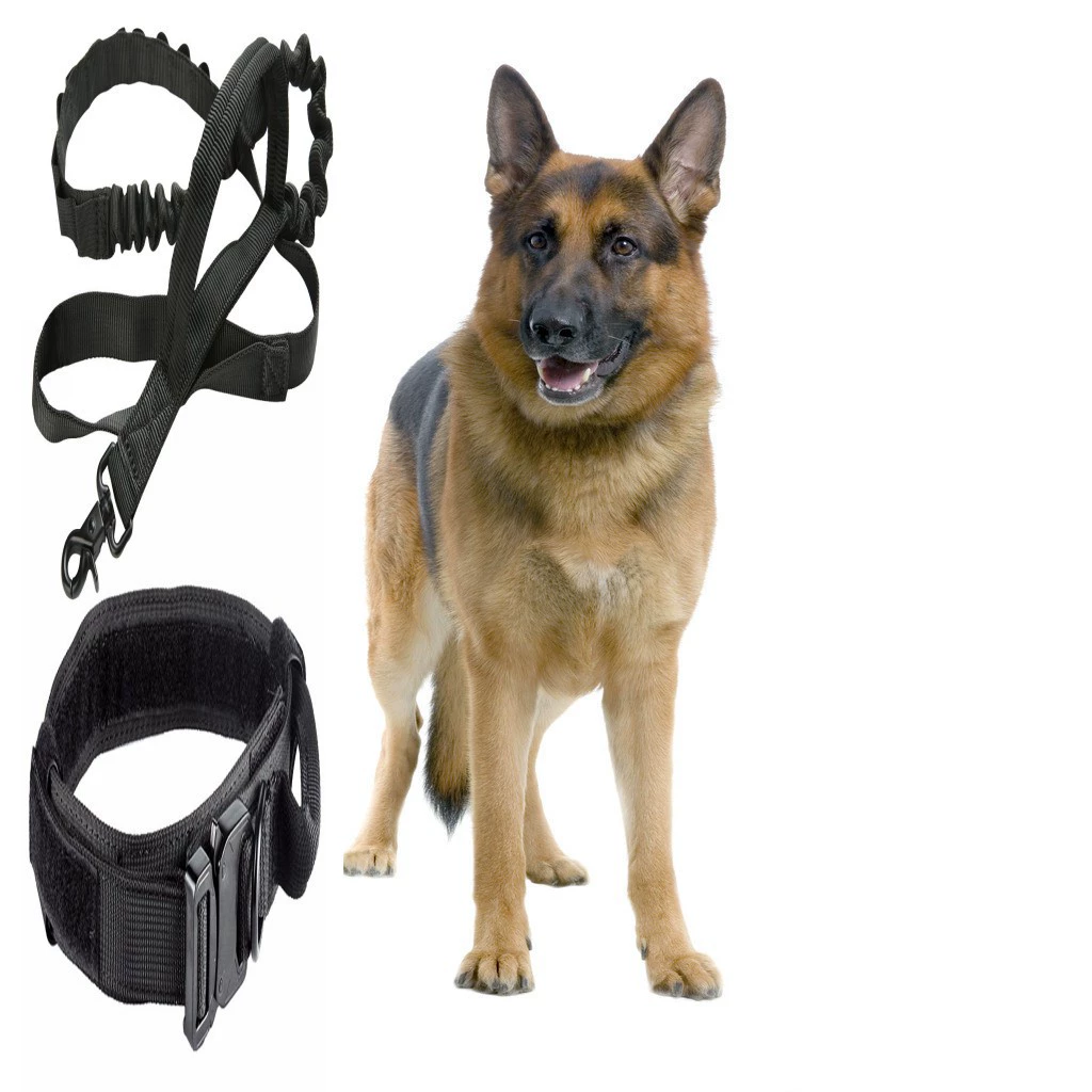 Выдающийся ошейник для собак 1.5inch в одном стиле для средних и крупных собак, тактический поводок для собак, военный поводок для собак, ошейник для домашних животных