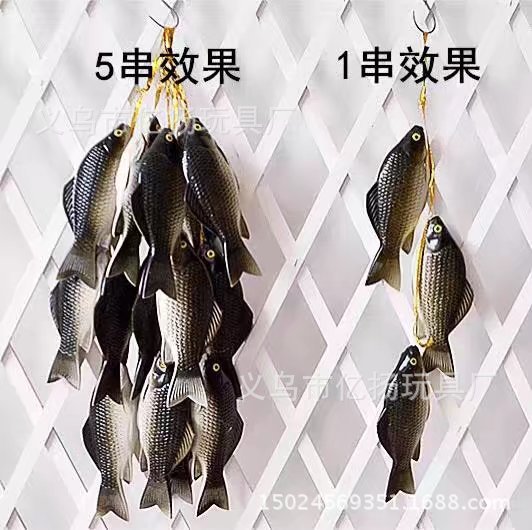 회색 잉어