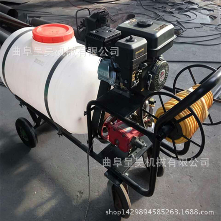 农田除虫打药机 瓜果蔬菜杀虫除草打药机 推拉轻便汽油打药机
