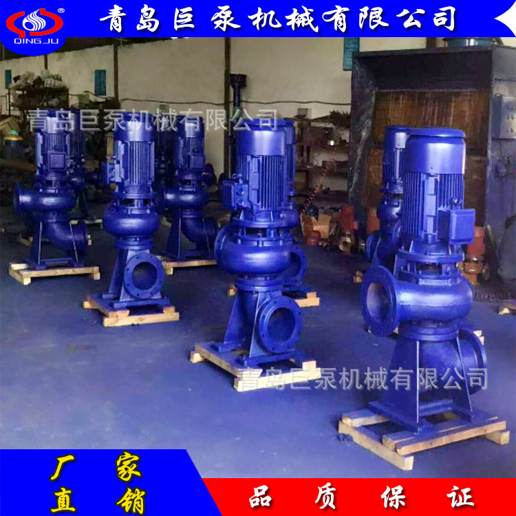 立式无堵塞排污泵 80LW40-15 立式管道排污泵 源头厂家