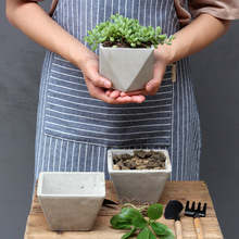 ����ֲ��С�������΂��Ԅ���ˮ����͸��S�����l����Gֲ��������