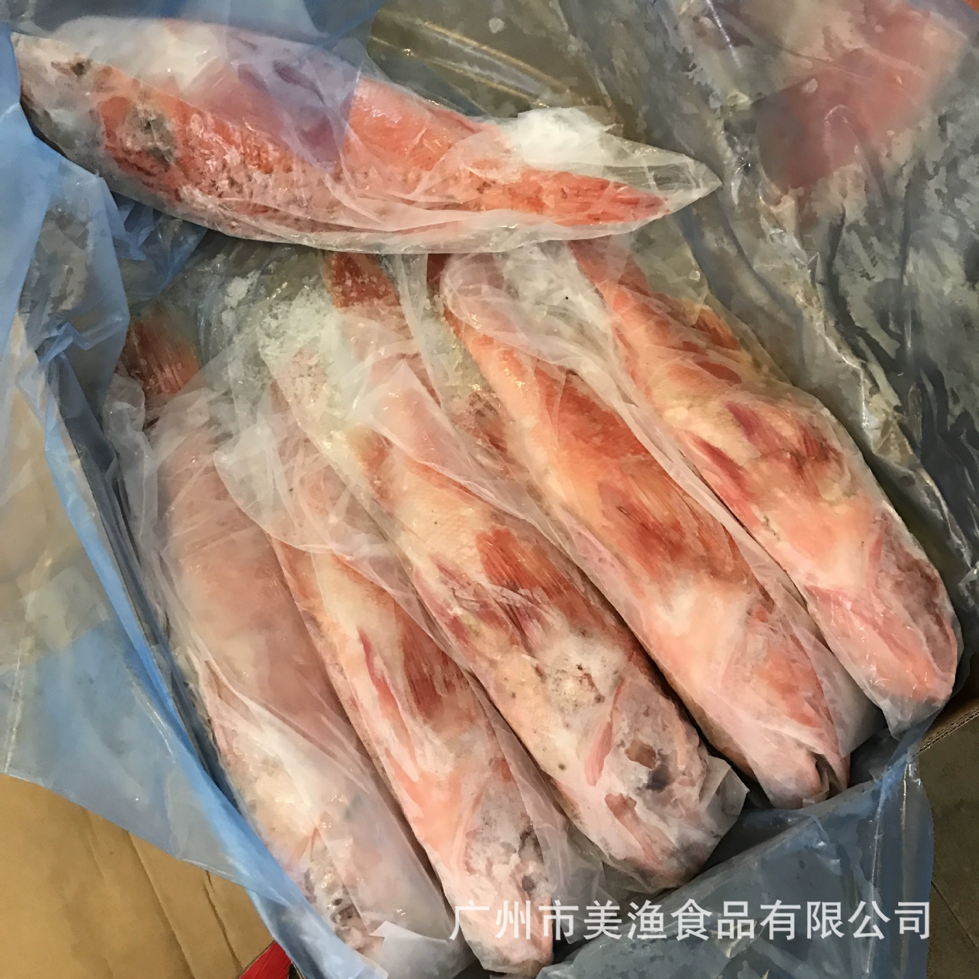 Замороженная новозеландская Рубиновая рыба, красный окунь, похожий на характеристику пятна Восточной звезды, красный окунь 0,65-1,25 кг/полоска