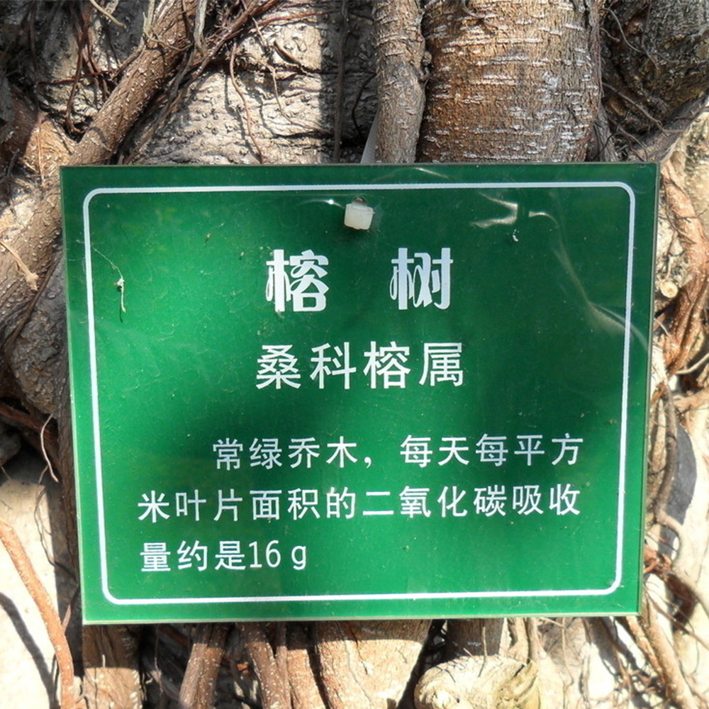 厂家供应绿化园林古树木挂牌 植物绿化标识二维码古树铝质树名牌