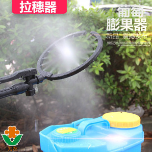 �r���_��ʽ����������������������״��߼t����F�����F�����^