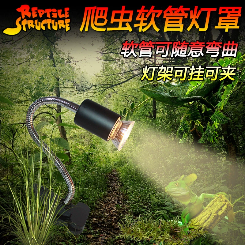 Коробка для отделки рептилий Pet Универсальный аквариум Черепаха Бак для лампы Стенд Шланг 360 Нагревательная керамика Солнце Ночной абажур