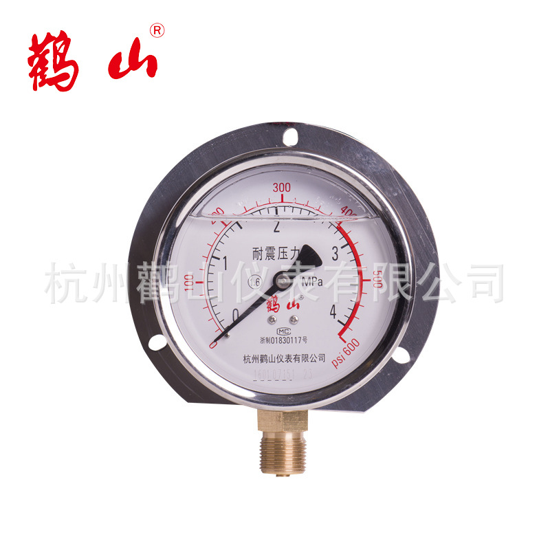 耐震压力表径向带后边压力表YN100T  甘油表 硅油 加油表 船用表