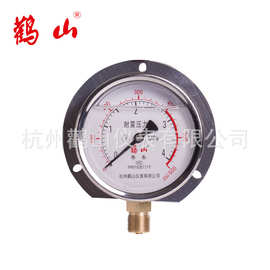 耐震压力表径向带后边压力表YN100T  甘油表 硅油 加油表 船用表