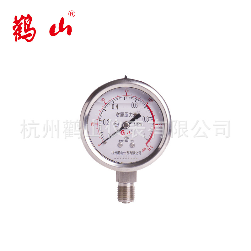 YN60BF 耐震压力表 304压力表 抗震表 不锈钢耐震压力表 厂家直销