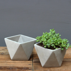 Small succulent flower pot, rhombus shape, personalized creative cement pot, breathable, factory wholesale, desktop green plant pot, plant container