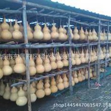 批发大小葫芦挂件摆件 文玩手捻把玩小葫芦 挂件摆件饰品家居摆件