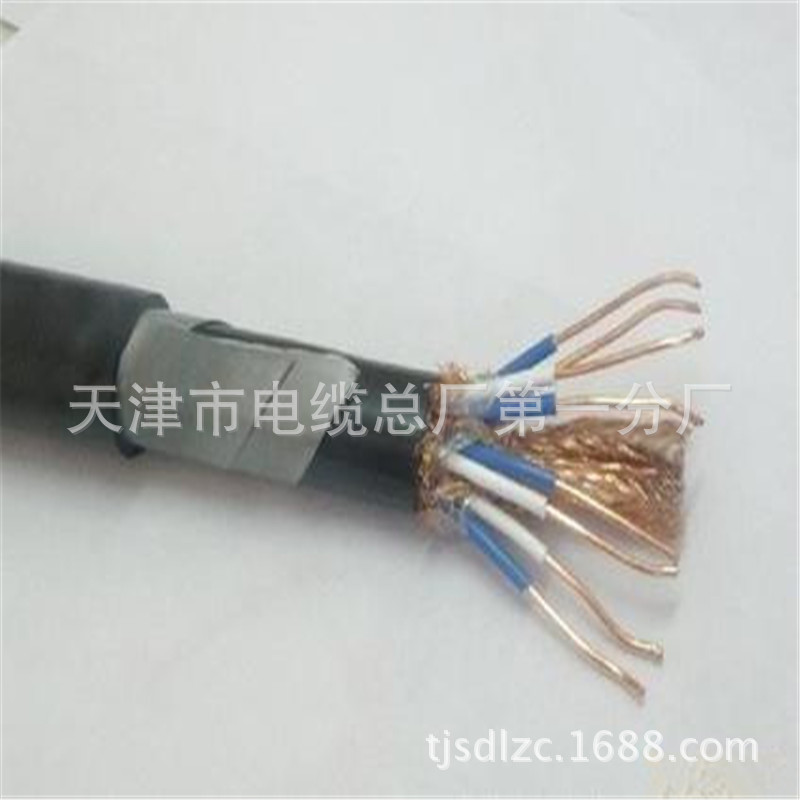 DJYVPVP2*2*1.0双屏蔽计算机电缆PE绝缘聚氯护套厂家销售