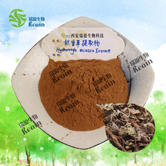 積雪草提取物 10:1積雪草粉  積雪草提取物 積雪草皂甙供應