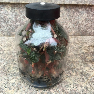 �������½�ɏ�N��Nֲĸ���Z����M����ʯ����