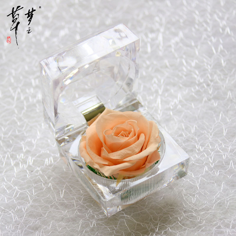 Cristal Rosa acrílico flor eterna caja de regalo confesión flor real regalo del Día de San Valentín Amazon