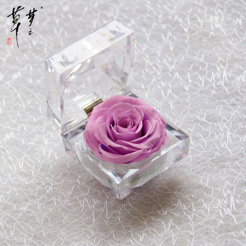 Cristal Rosa acrílico flor eterna caja de regalo confesión flor real regalo del Día de San Valentín Amazon