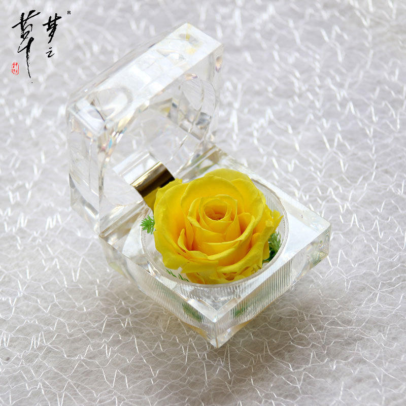 Cristal Rosa acrílico flor eterna caja de regalo confesión flor real regalo del Día de San Valentín Amazon