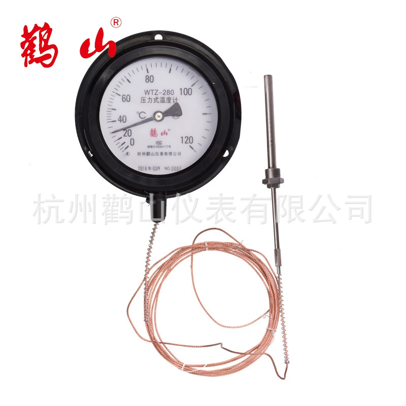 wtZ-280 термометр давления теплый термометр термометр газовый термометр