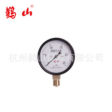 YE100 膜盒压力表 燃气表 kpa表 微压表 天然气压力表 杭州鹳山