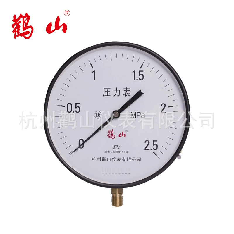 Y250 манометр воды пружинная трубка манометр воздуха Манометр 1,6 МПа Аист горный завод прямой радиальный