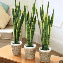 ��Ƥ�m���Դ��߅��β�mֲ���҃ȾGֲ�̨�՚�����҃�ֲ��