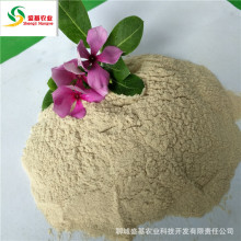 ����60Ŀ����о�� ɽ�|��֬���d�w����о���a�S��