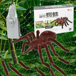 2ͨ�t�⾀�b��֩�� ���α������˸����� ��ͯ�����������