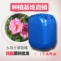 保加利亚大马士革补水饱和原料