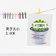 2.5cm small wooden clip colorful clip photo clip wedding clip storage clip small wooden clip mini