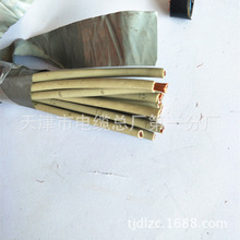 SYV75-2-2 1*16����ҕ�l��| ��;���V Ʒ�|��|