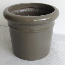 ����A�Θ�֬�w�S���� ����䓴�̖���⻨��S���N����픾G������