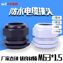����ֱӪM63���ϵ��·�ˮ��ͷ �������·�ˮ�̶�ͷIP68 SGS��֤
