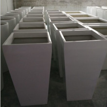 ���Q���l�G���Nֲ����䓻��� ��픻��@�Nֲ�� ��̖���ηN��������