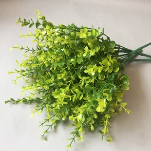 �S��ֱ�N �����ȼ��� �Gɫֲ��Gֲ�����b�49�^���X�~С�����ϻ�