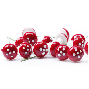 �S��ɭ��ֲ�������ĭСĢ�������ɫĢ��΢���^�����辰����[��