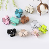 Acrylic small hairgrip for princess, hair accessory, Korean style, wholesale