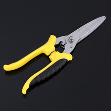 �S�����l8��๦����Ӽ����P䓼���늹�������Ӽ�֦���FƤ��E18