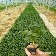 ���~ί��˱��� ���~ή��������� �޸����ܶ������������l�ر���