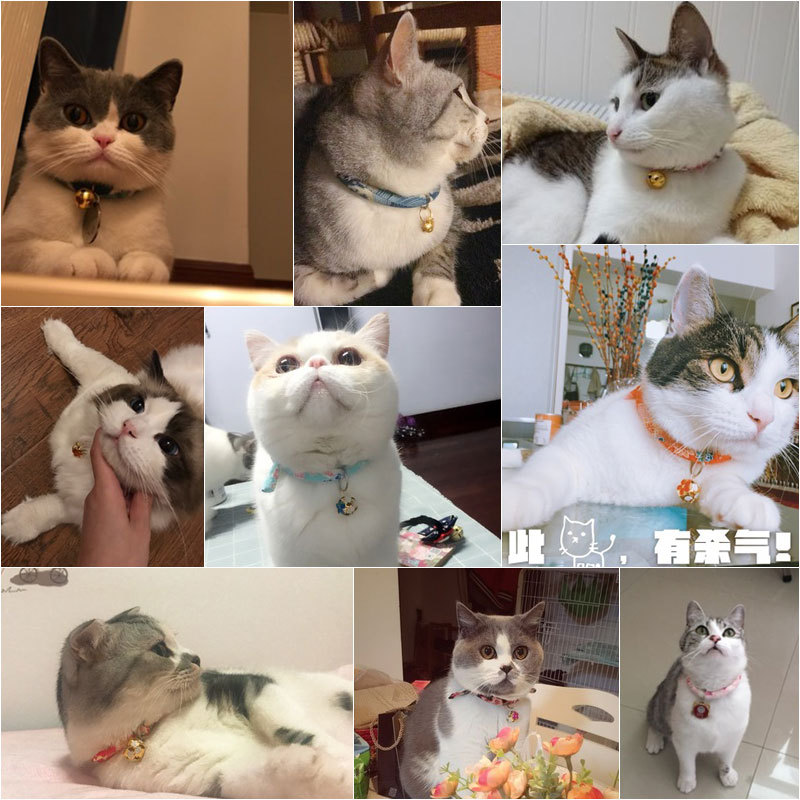 Japón y viento lindo gato multicolor multi-estilo collar campana gatos collar autoajuste para mascotas