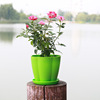 Resin petal pot color round green plants, succulent imitation porcelain pot pumpkin -type vertical plastic flower pot wholesale manufacturers