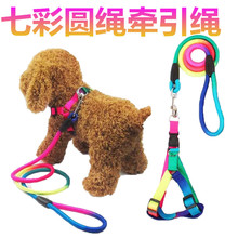 宠物七彩圆绳牵引绳 胸背带狗绳狗链泰迪贵宾胸背带 七彩牵引绳