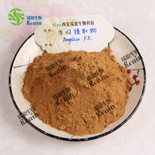 蒿本内酯  当归提取物 水溶性当归粉 原料批发 量大优惠