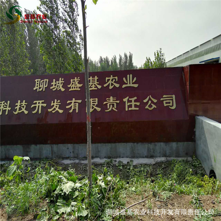 批发兽 药 饲料载体用30目玉米芯粉 植物性饲料用玉米芯